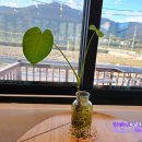 오도재몰랑카페 이미지