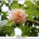 도두리길 이미지