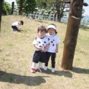 아이뜰어린이집 이미지