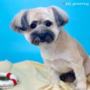 을지라사 이미지