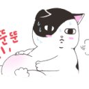 신현경짬뽕천국 이미지