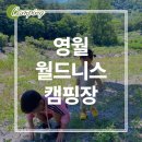 도원오토 | [키즈캠핑] 영월 월드니스 오토캠핑장 패밀리 사이트 후기