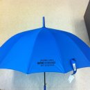 둔산푸른약국 이미지