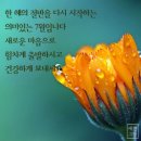 대천여자중학교 이미지