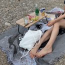 드림몽돌하우스 | 블랑쉬하우스BLACHE HOUSE :: 실용성 좋은 인테리어 소품 추천 · 프렌치불도그 블랭킷 캠핑 담요...