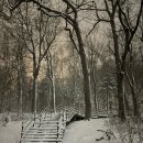 (주)델리마운트 | 캐나다 몬트리올 여행, 마운트로얄 공원, 맥길대학, 성요셉대성당, 슈왈츠델리 (schwartz’s deli...