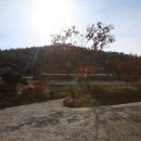 학천사
