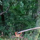 방게 민박 이미지