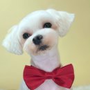 산호동457 이미지