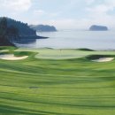 파인비치 이미지