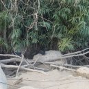 강원도 청계 농장 이미지