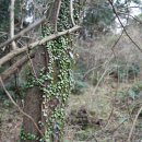 청수목장 이미지