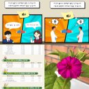 무릉도원후도인성학교 이미지