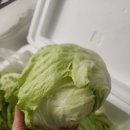 법이네 야채가게 이미지