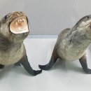 부산해양자연사 박물관