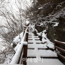 그리고숲