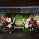 느리울초등학교 이미지