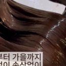 유정컨설팅 이미지