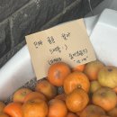 말로나