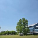 수원시민회관 | [수원 피크닉] 🌿 아는 사람만 아는 돗자리 명소, 성균관대 자연과학캠퍼스 잔디광장 나들이 후기