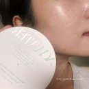 물광 쿨링쿠션 추천 노워터 티트리 데이데이 톤업 선쿠션