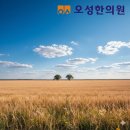 오성한의원 이미지