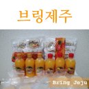 브링제주 이미지