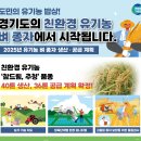 36 이미지