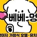 베베멍 이미지