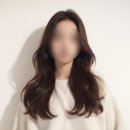 헤어메이트 이미지