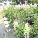 길음농장