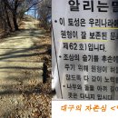 달성공원 이미지