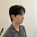 세라세미 이미지