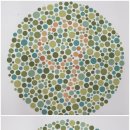 다비치안경원(시지점) 이미지