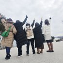 🌸━━»•»🌸2025년 01월 &#34;고성 통일전망대 - 대진항 여행 &#34; 결산서 이미지