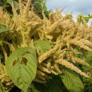 행복한농부 이미지