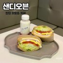 샌디오븐 이미지