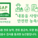 백년 농장 이미지