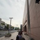 롤 | 성심당 요거피치롤 오픈런 후기 (주말)