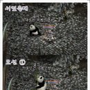 밤 셀까 이미지