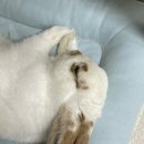 김종민피부과의원 이미지