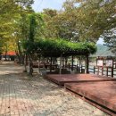 월성오토캠핑장 이미지