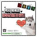 마이리틀프렌드위탁목욕