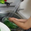 비발디 향기나무 이미지