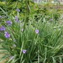 보화다원 이미지