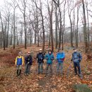 Fingerboard Mtn, Harriman State Park (11/22/23) 이미지