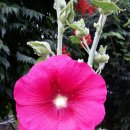 모나코펜션 이미지