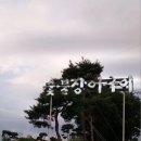 천강수산 이미지