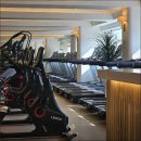 메이저피트니스 이미지