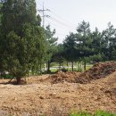 개토농장 이미지